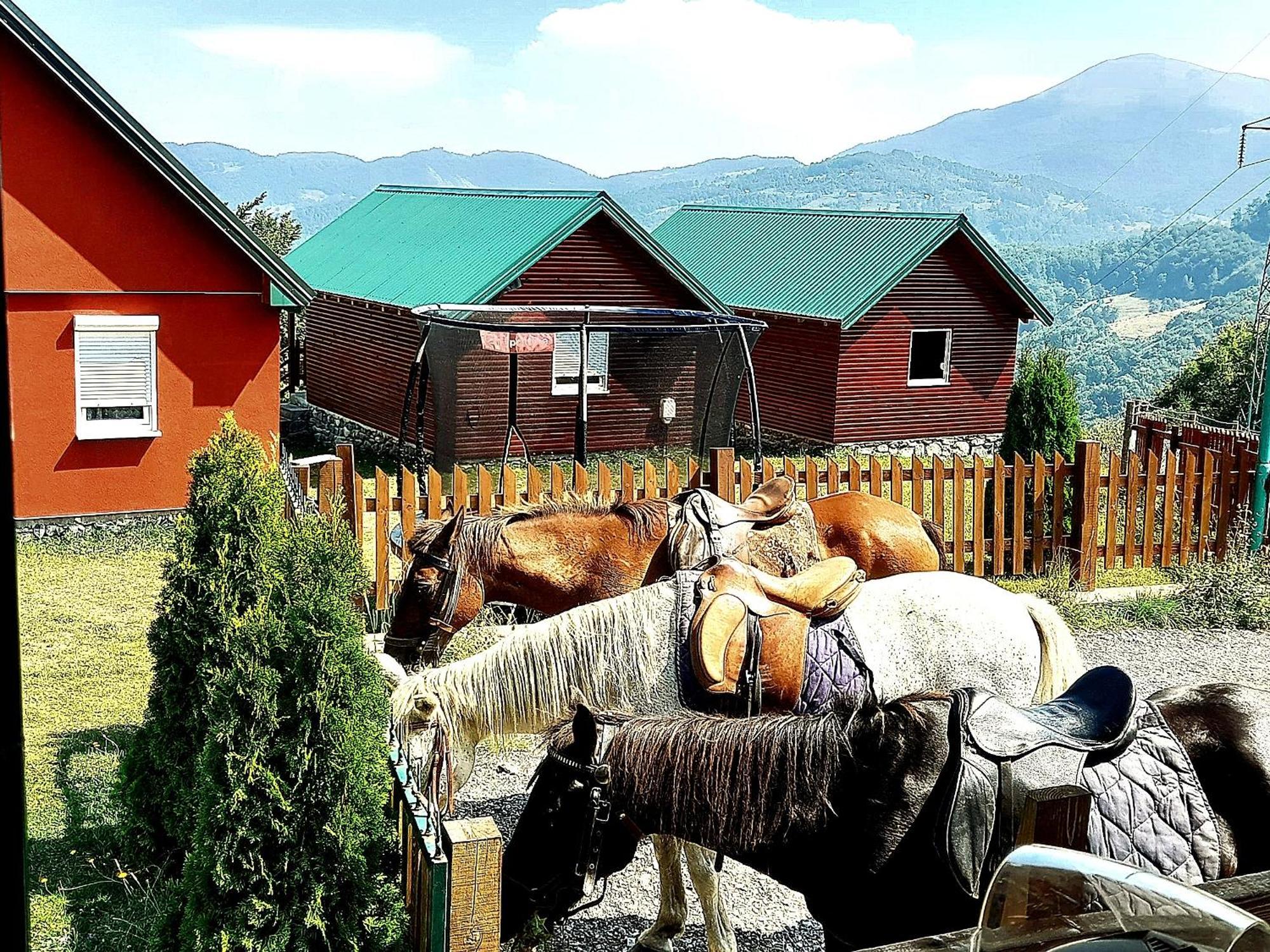 Eco Village Coric Mojkovac Eksteriør billede