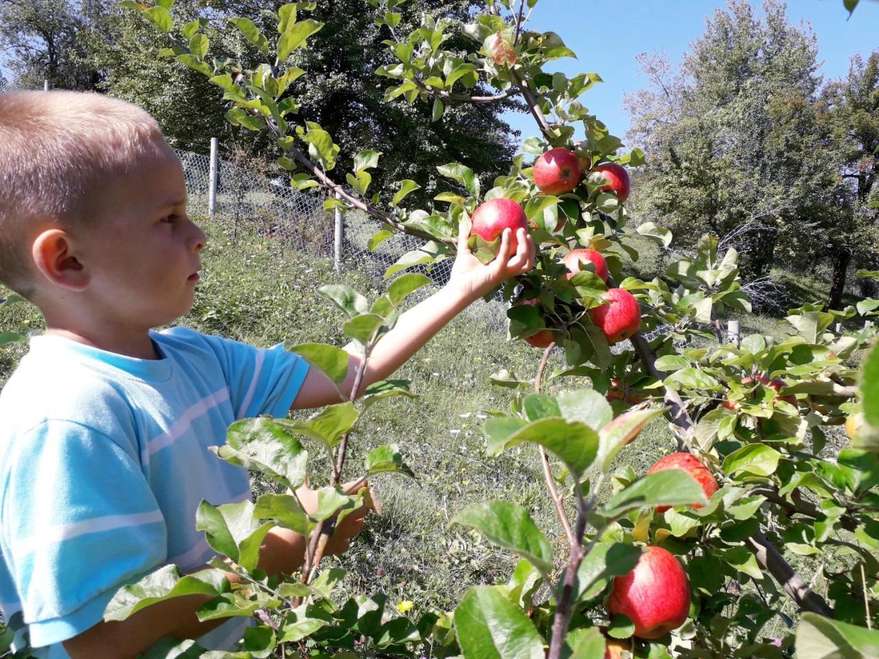 Eco Village Coric Mojkovac Eksteriør billede